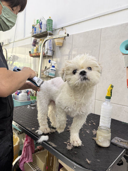 Pets Nanny Boarding and Grooming service