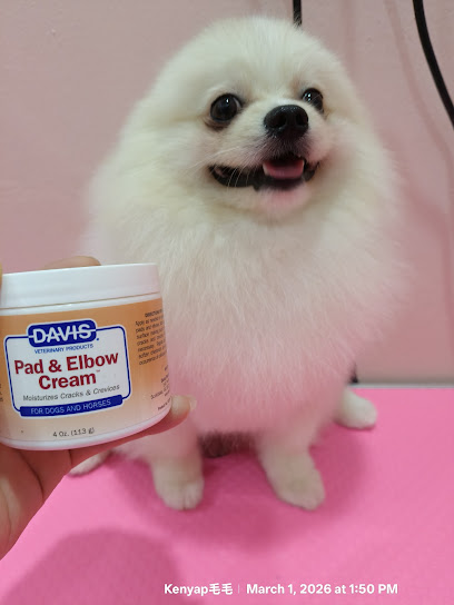 Aurora Paws Grooming Studio