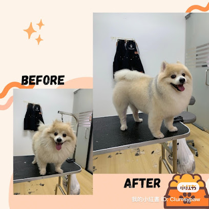 Clumsy Paw Puchong • Pet Grooming & Boarding