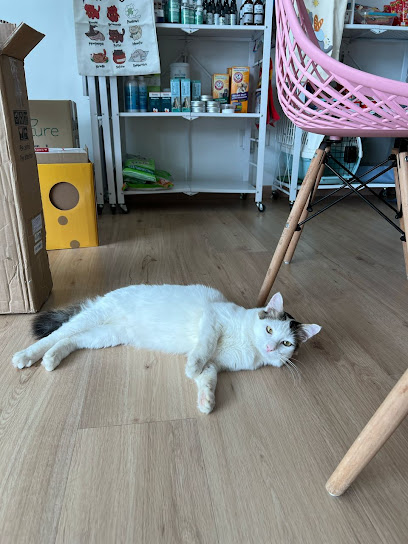 Fatto Catto