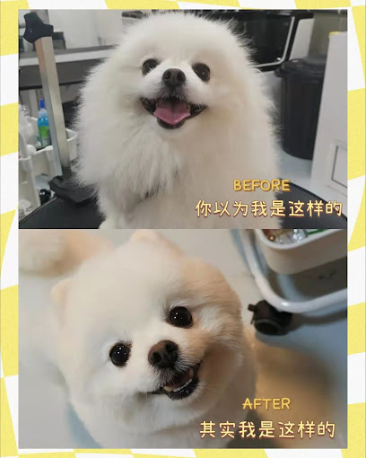 Yubaba Pet Spa