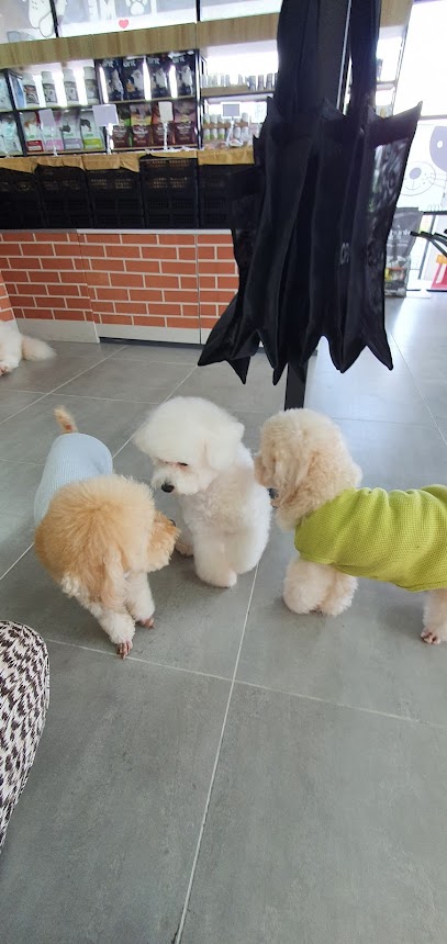 Black Nose Pet Shop