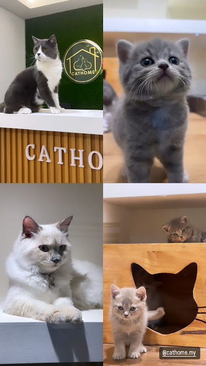 Cathome Cat Hotel and Grooming (OUG Jalan Klang Lama)