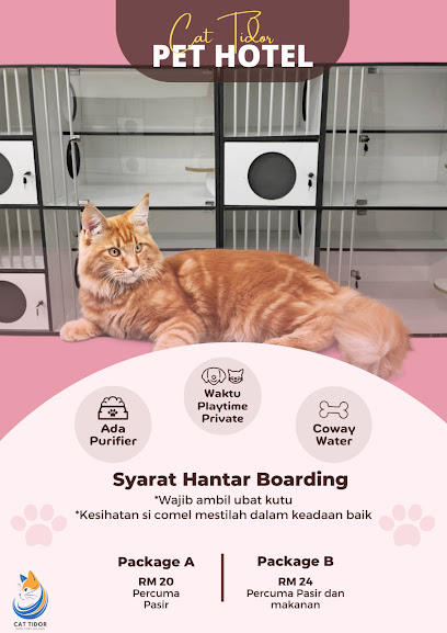 CatTidor